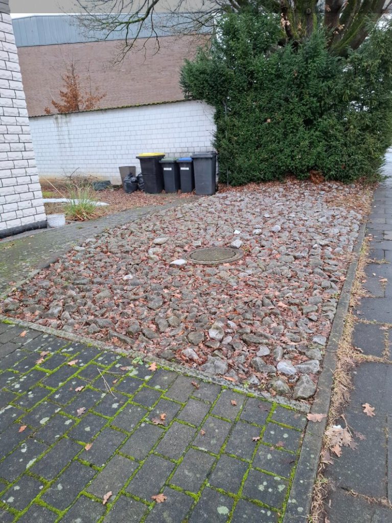 Foto eines Schottergartens.